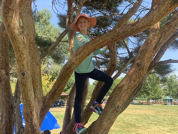 kid climbing tree