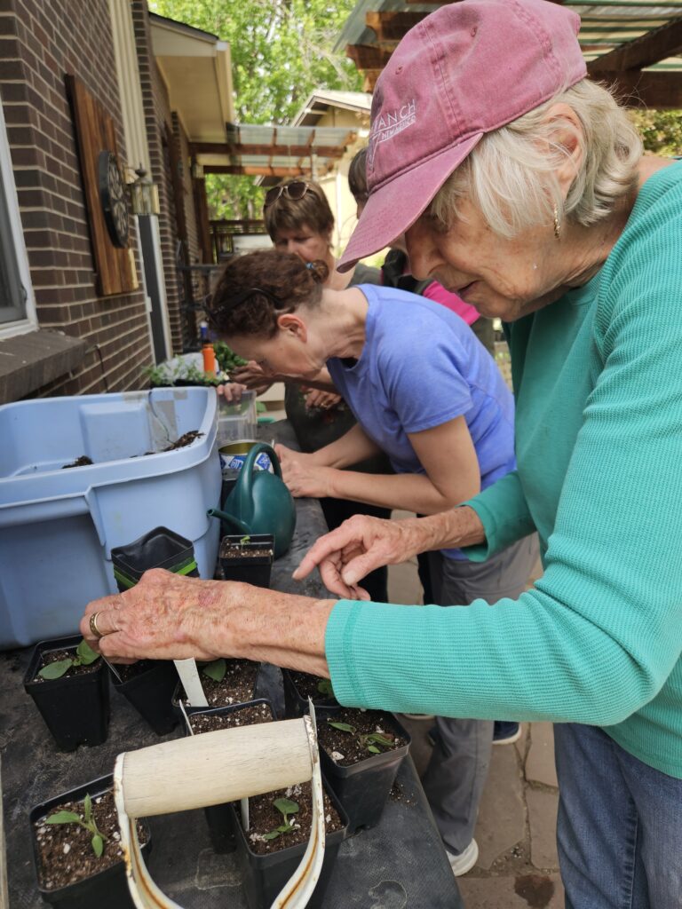 A volunteer helps out with the plant and goodie sale, an annual fundraiser for Earthlinks orgranized by a Common Flame congregant.